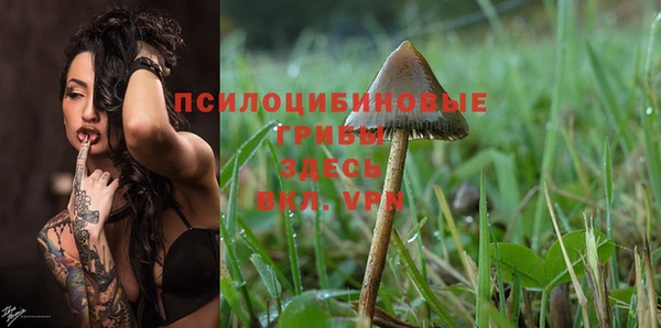 не бодяженный Богородицк