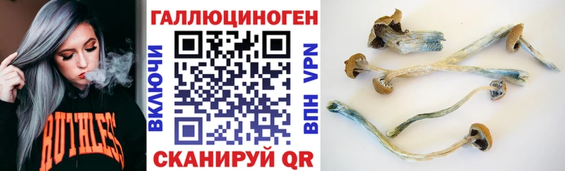 Галлюциногенные грибы прущие грибы  Новосибирск 